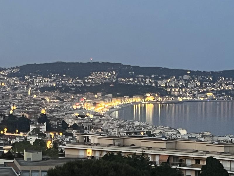 Vue panoramique terrasse Est