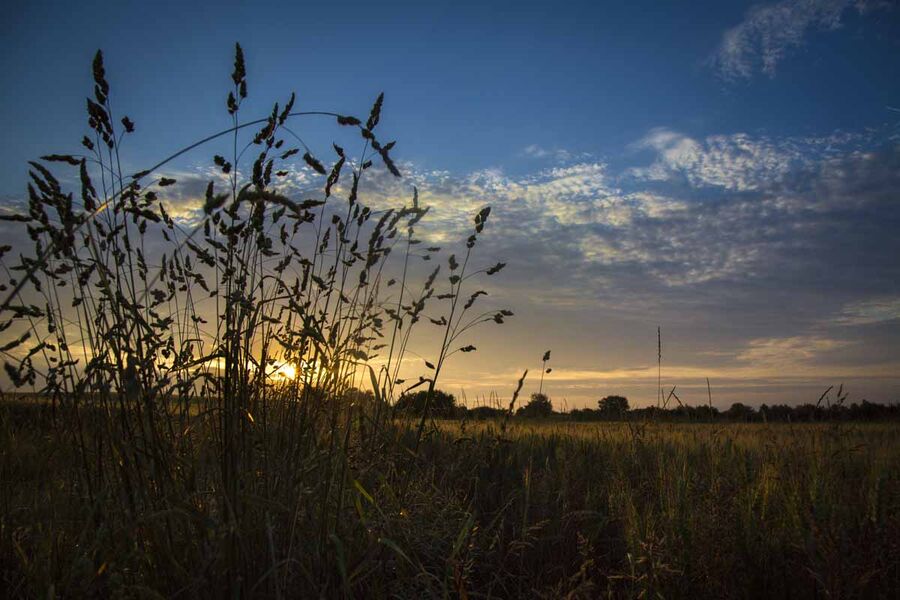 Espace Naturel Sensible des Communaux de Trept