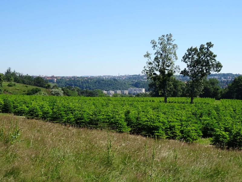 Aire de pique nique du Plat de l'Air