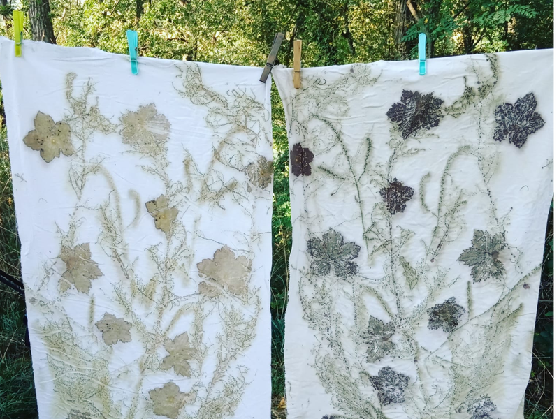 Stage d'écoprint_Essertines-en-Donzy