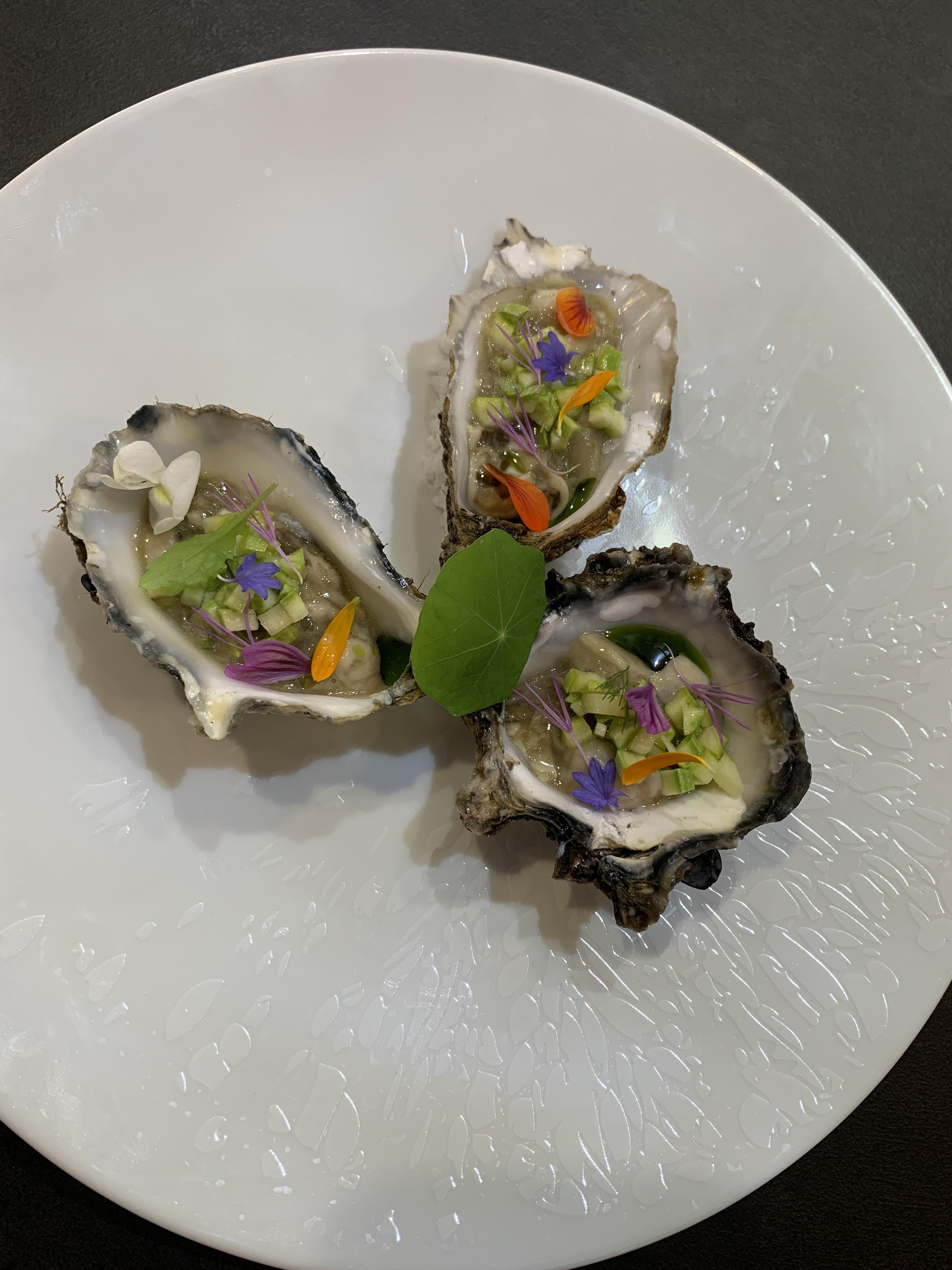 Couleurs de Shimatani - photo 2