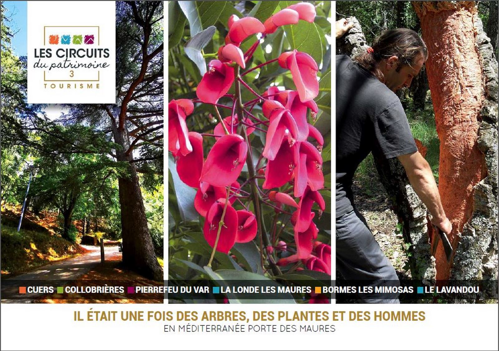 Circuit 3 : Il était une fois des Arbres des Plantes et des Hommes