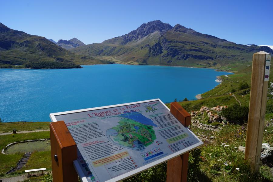 Jardin alpin du Mont-Cenis