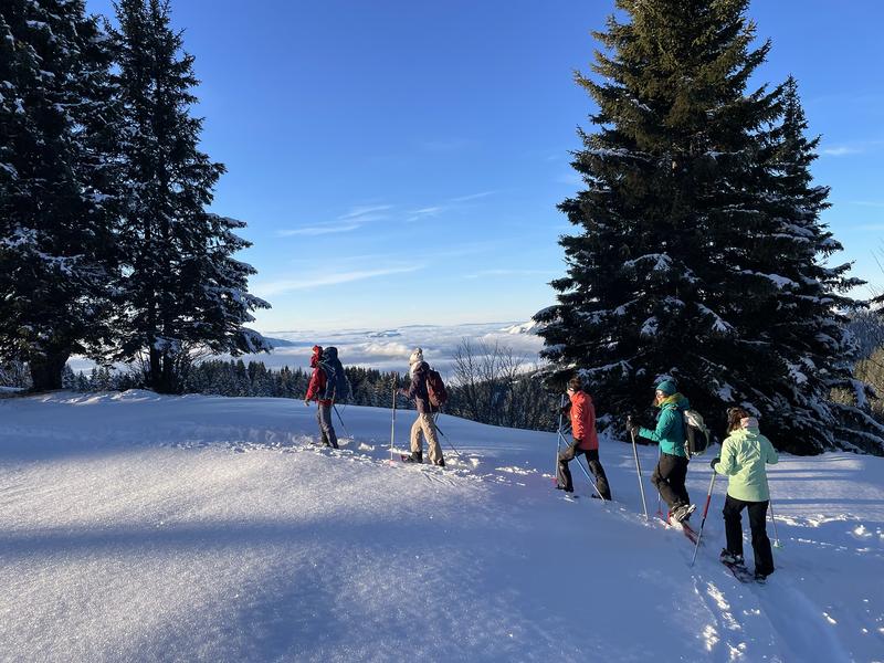 Fondue in the igloo and snowshoeing adventure