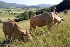 Sébastien Revol agriculteur à la Chapelle en Vercors, producteur de fromages dont Le Bleu du Vercors Sassenage (AOP)