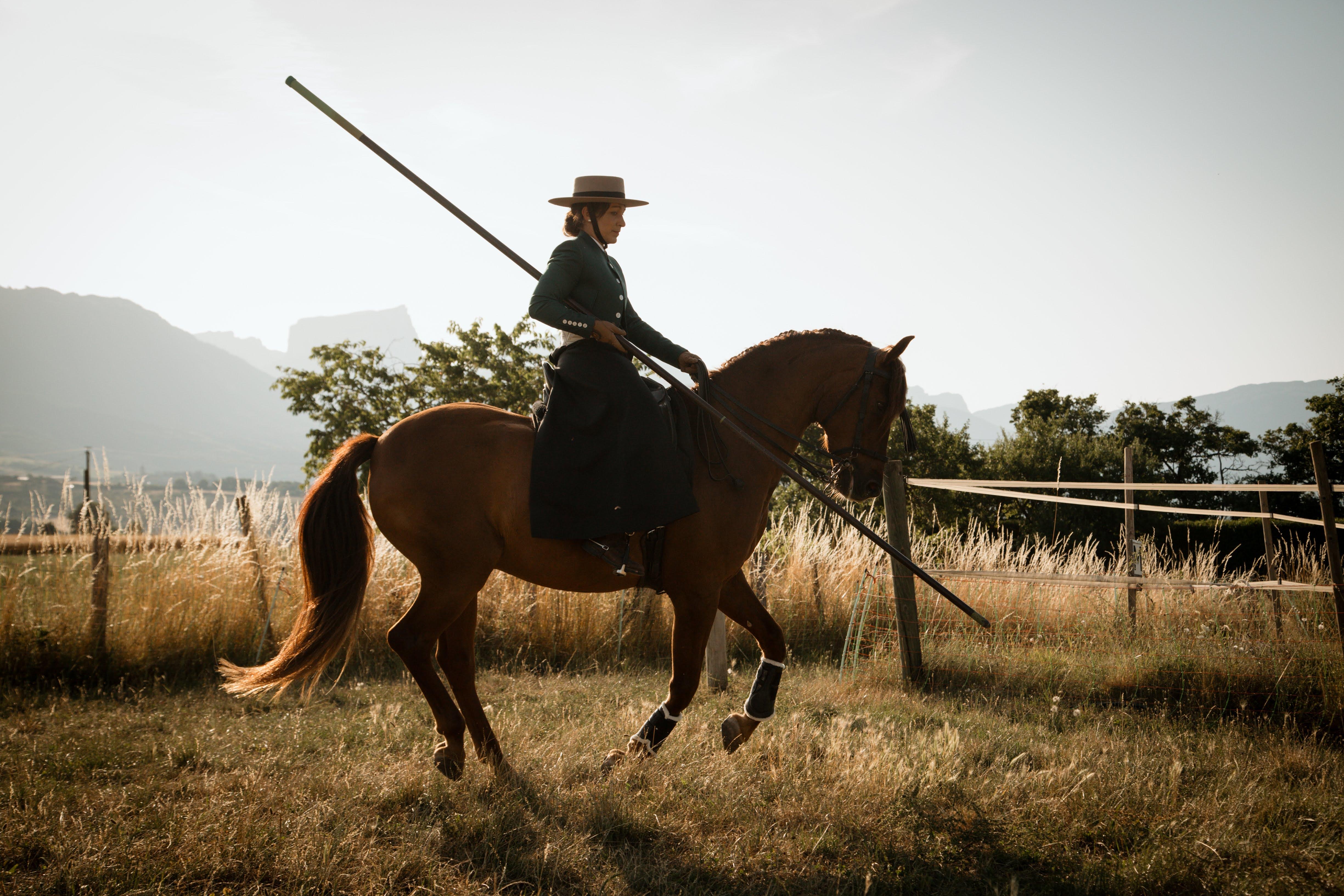 Fête du cheval