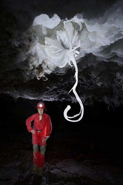 Exposition Plongez dans l’invisible 