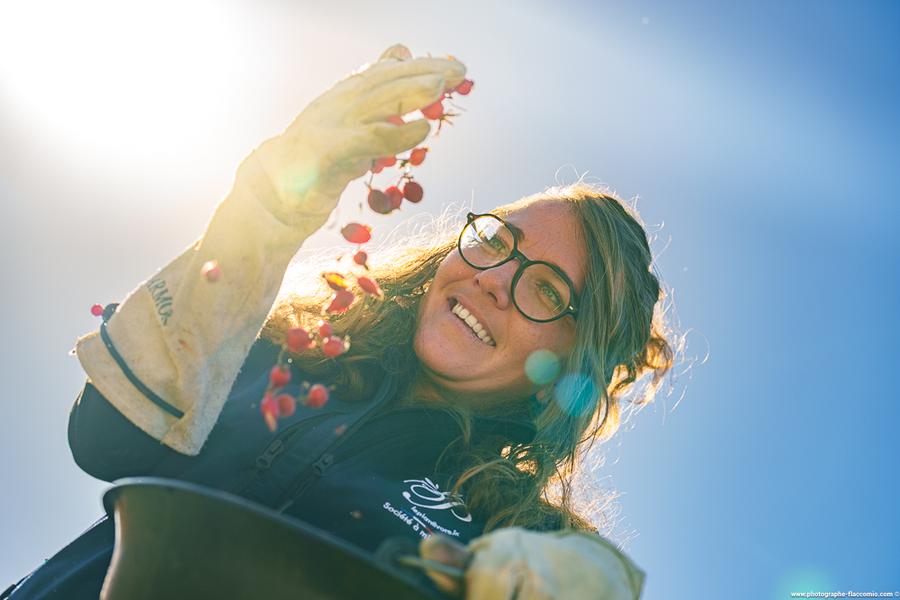Le Plantivore_Château-Ville-Vieille