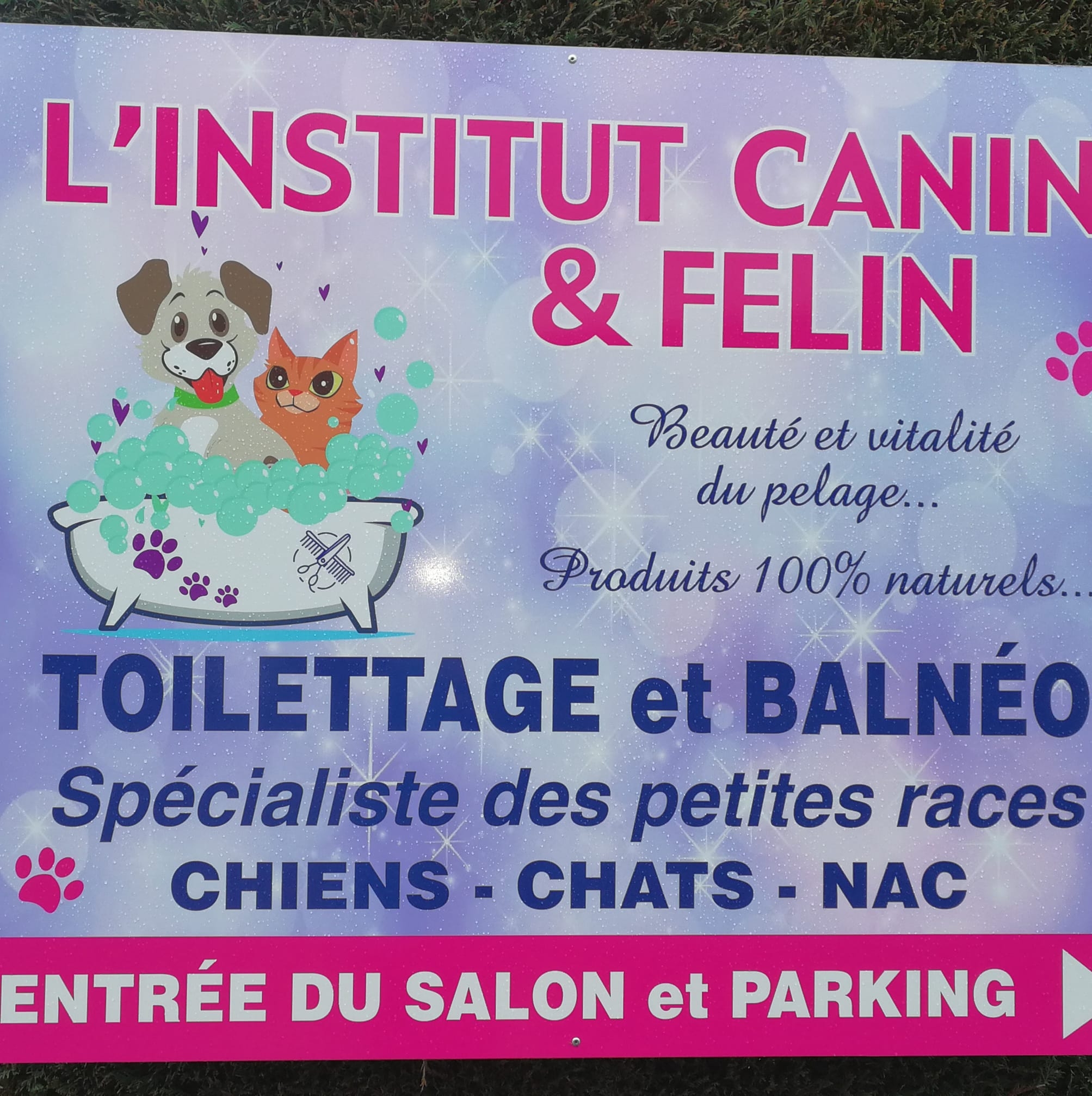 L'Institut Canin et Félin