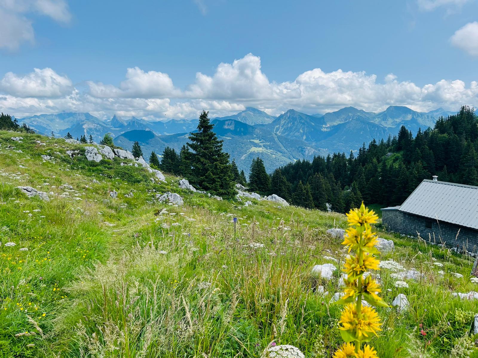 3 Jours Rando & Yoga - Sonothérapie en Vallée Verte_Villard