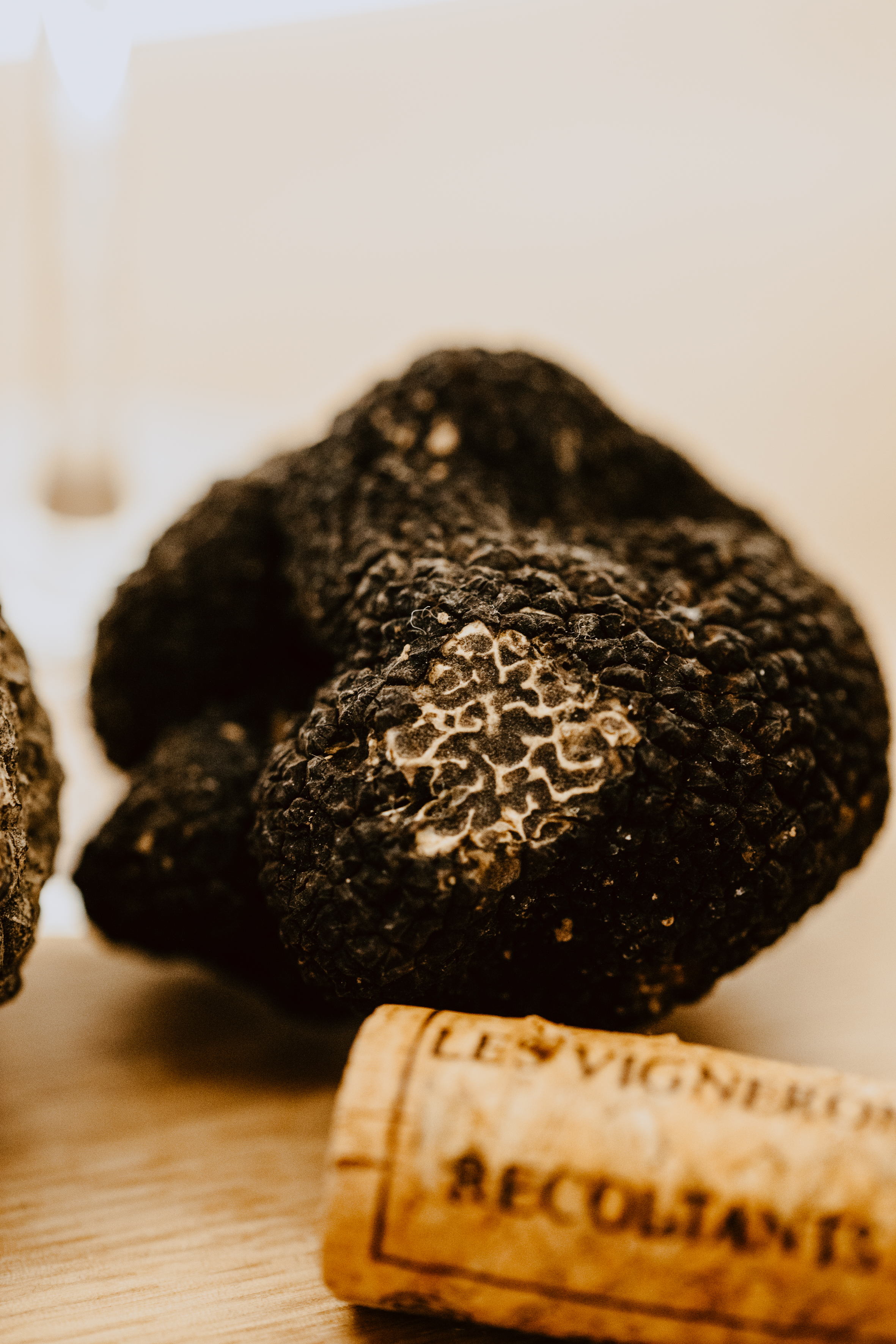 CharlèneBoiriePhotographe-Cavesvivaraises-4