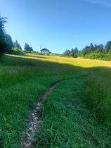 Planachat et la ferme Guichard