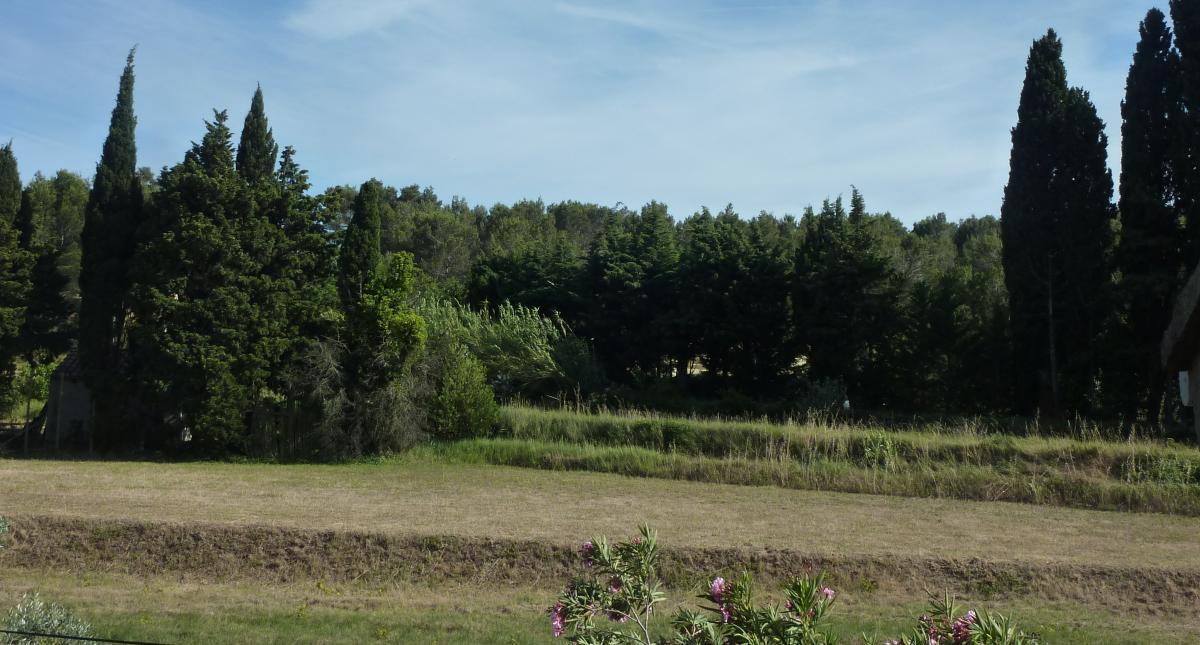 La Farigoule, Plan-d'Orgon - photo 43