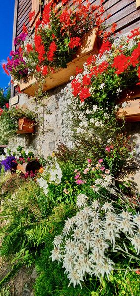 A l'entrée du Chalet