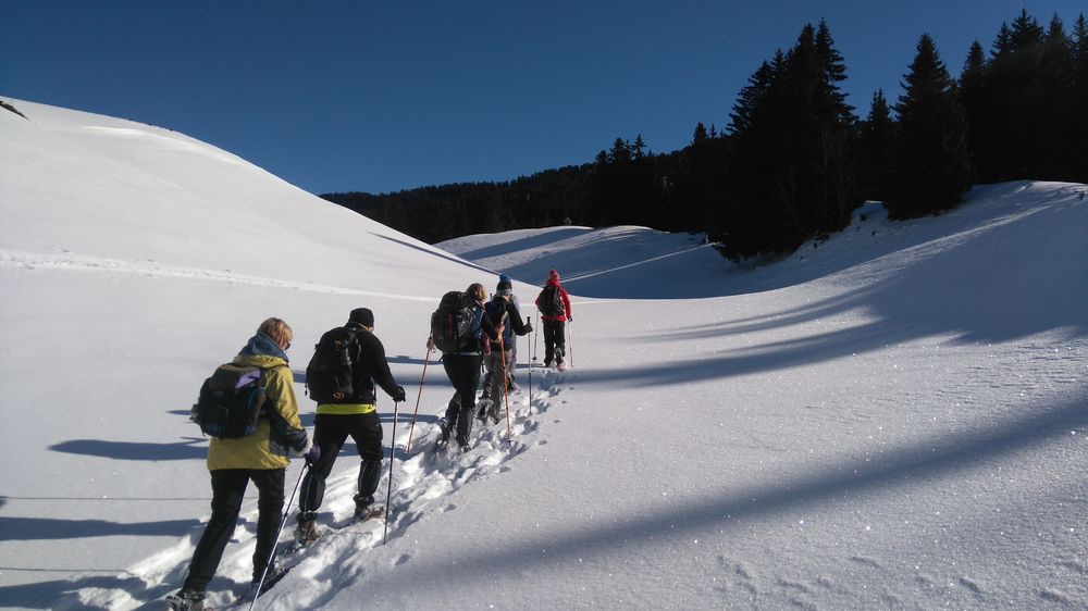raquettes en chartresue