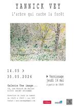 Expositiion Yannick Vey : L'arbre qui cache la forêt_Saint-Étienne