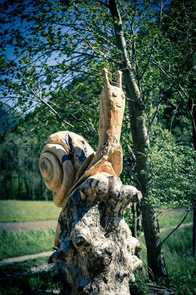 Visite de la ferme des bisons