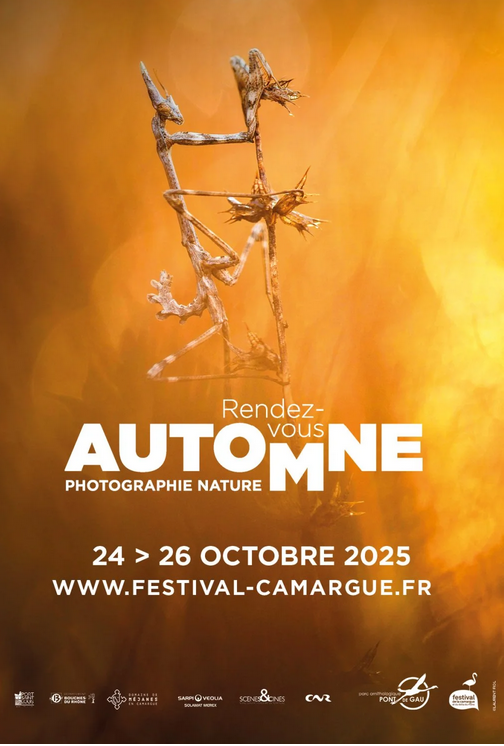 Rendez-Vous d’Automne : Festival de la Camargue et du Delta du Rhône