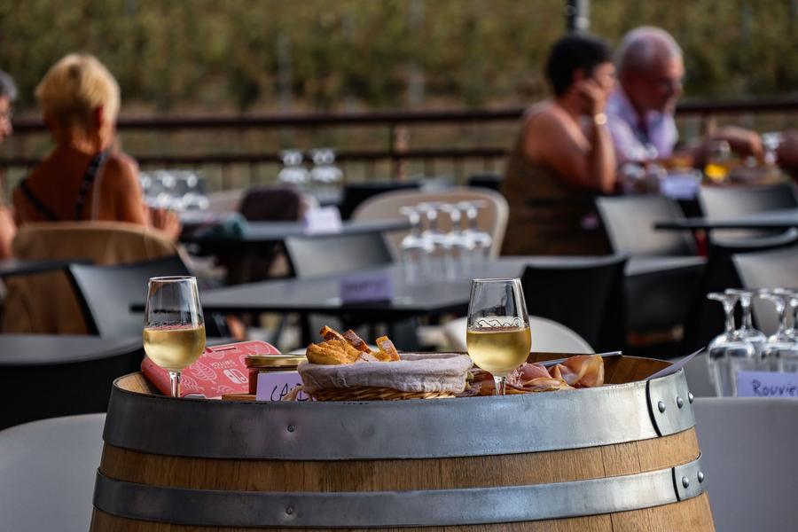 Concert So Many avec Marianne Molina au domaine Terra Noé_Rochecolombe