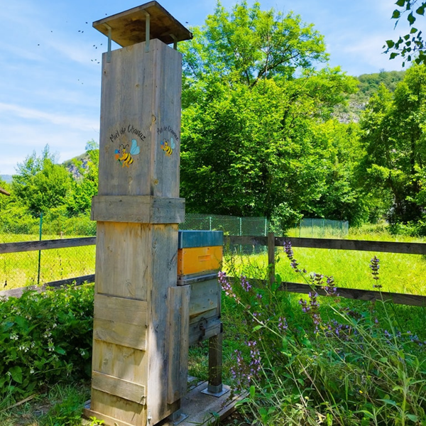 Api croisière_Chanaz