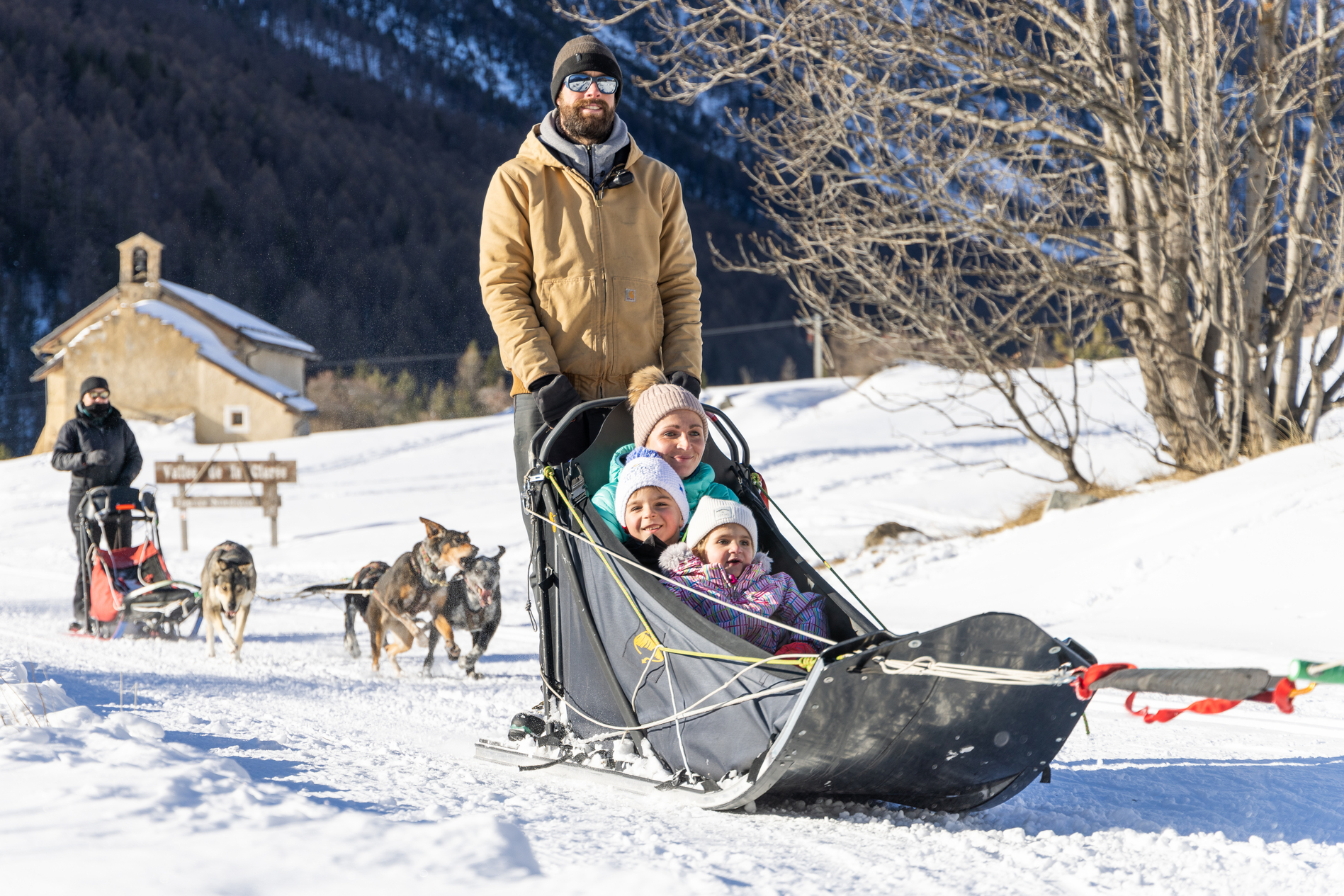 Chien de traineau - Nevache