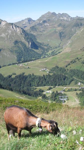 Rabdonnée Mont Chéry