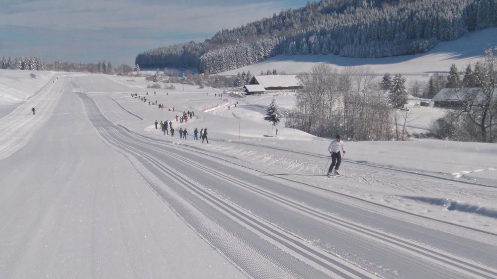 site_nordique-des-moises