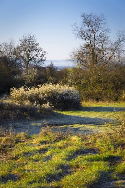 Espace naturel Sensible des Communaux de Trept