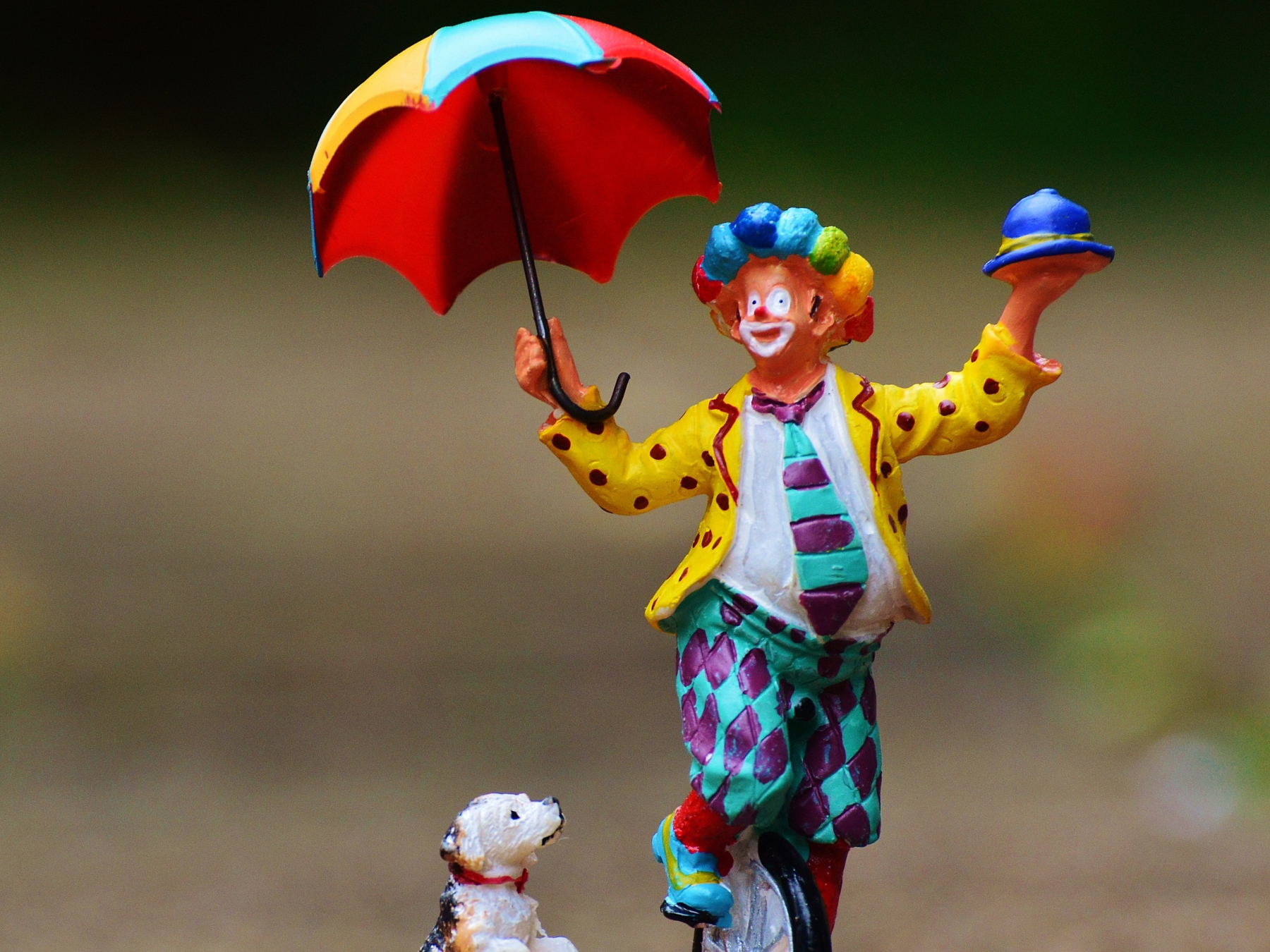 Stage de clown et permaculture humaine