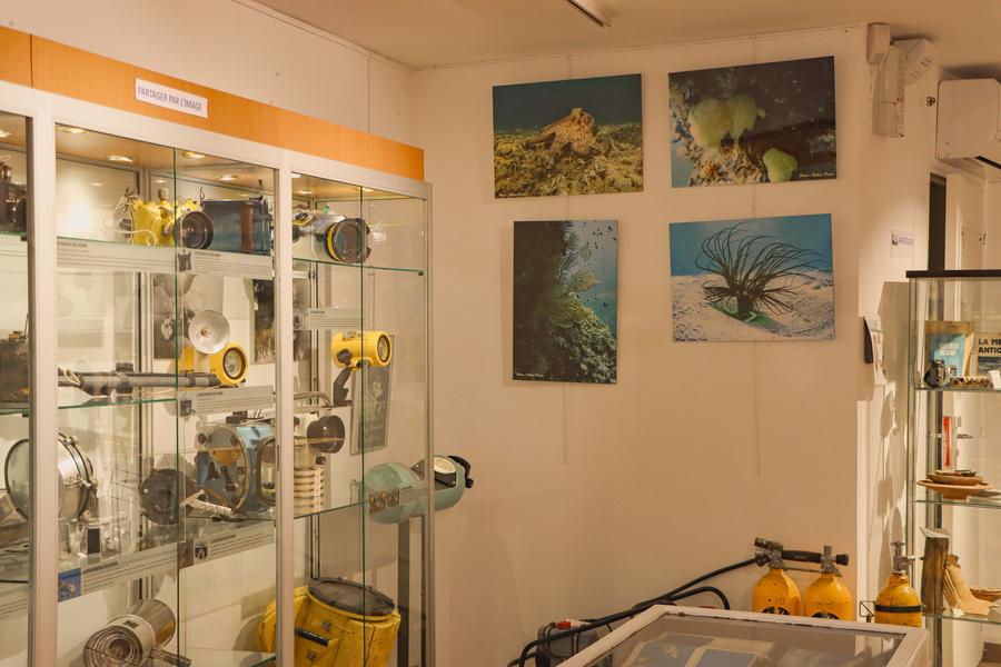 Frédéric Dumas Diving Museum