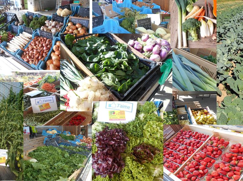 point de vente légumes