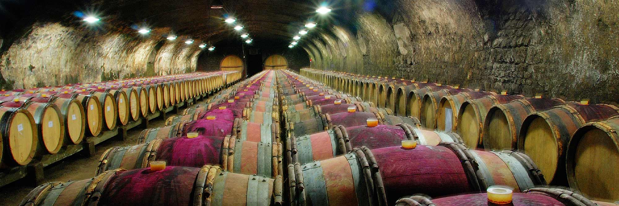 Cave voutée