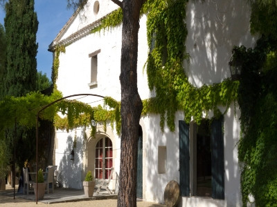 La Tonnelle - Le Vieux Platane