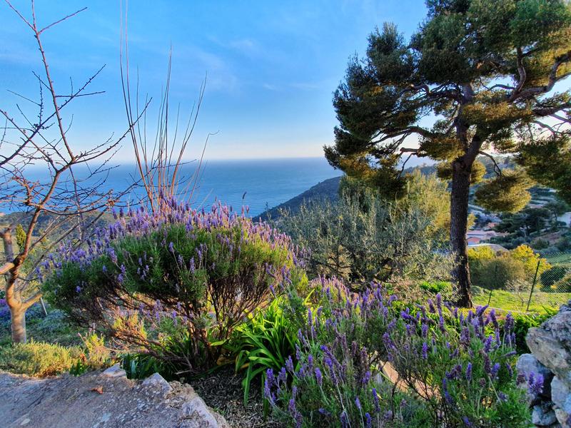 Gîte Villa Bel Horizon-Jardin des propriétaires-Eze-Gîtes de France des Alpes-Maritimes