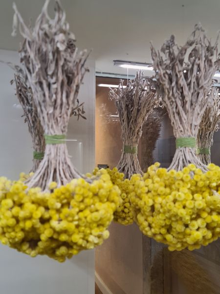 Musée de la Fleur Ollioules