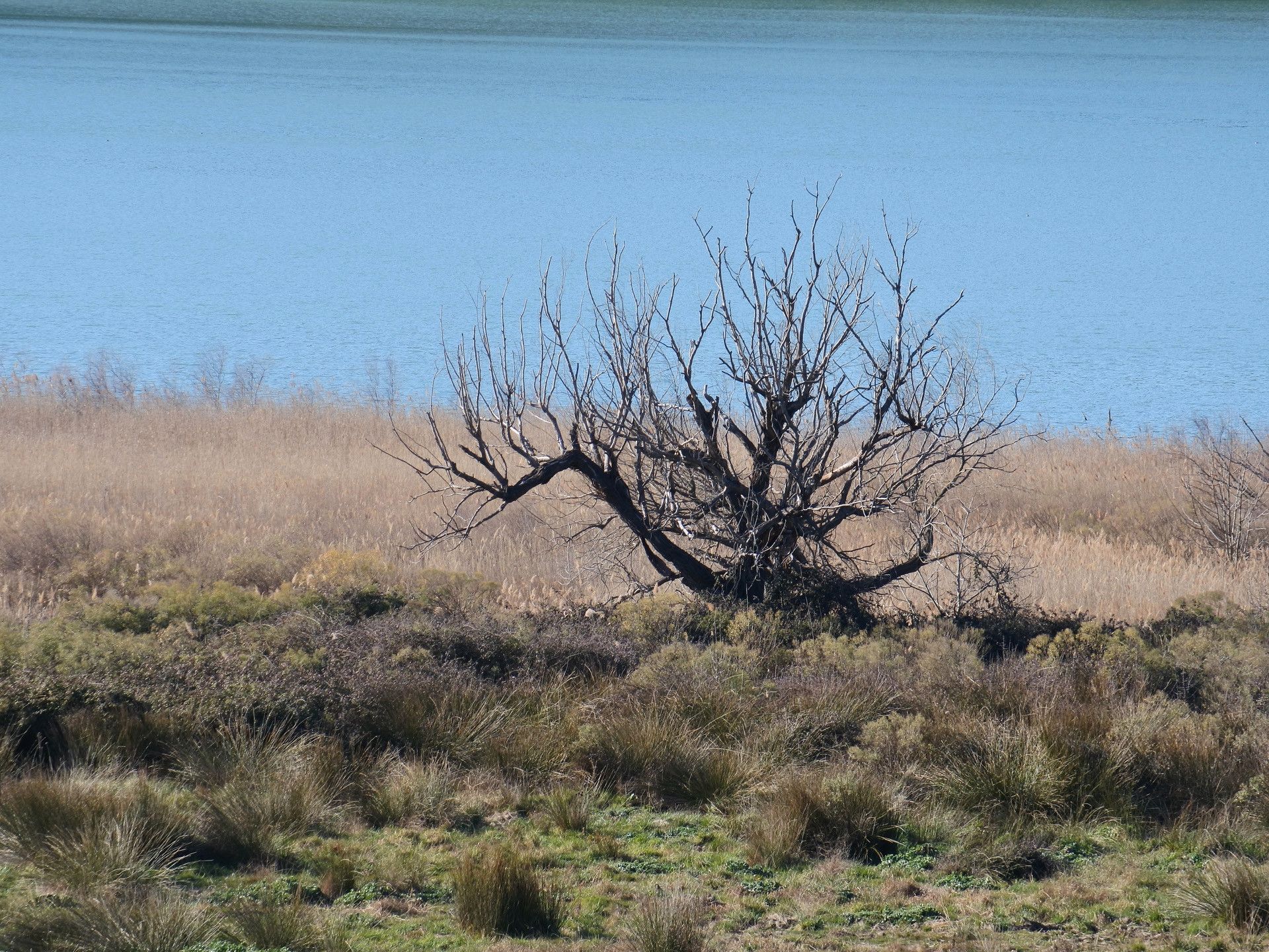 Les Tours Gros, Saint-Mitre-les-Remparts - photo 3