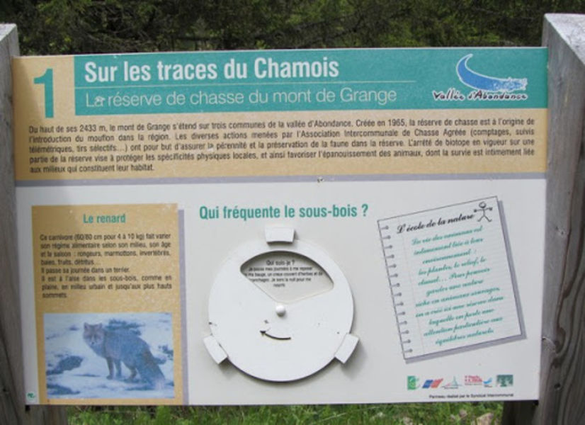 Parcours thématique : Sur les traces du Chamois
