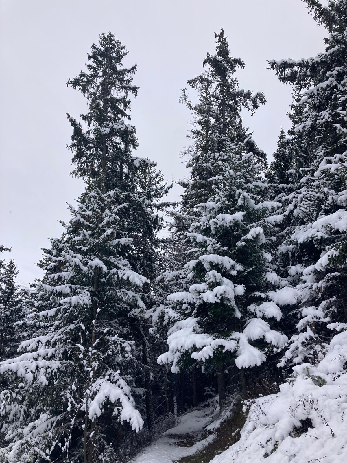 Piégut Boucle - en raquettes depuis Auris-en-Oisans