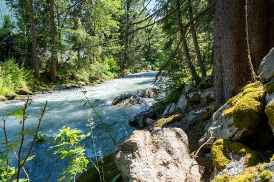 Petit Balcon sud :  Argentière- Les Tines_Argentière