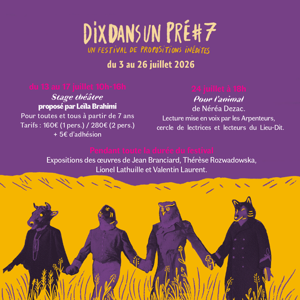 Stage théâtre - Dix dans un pré #7