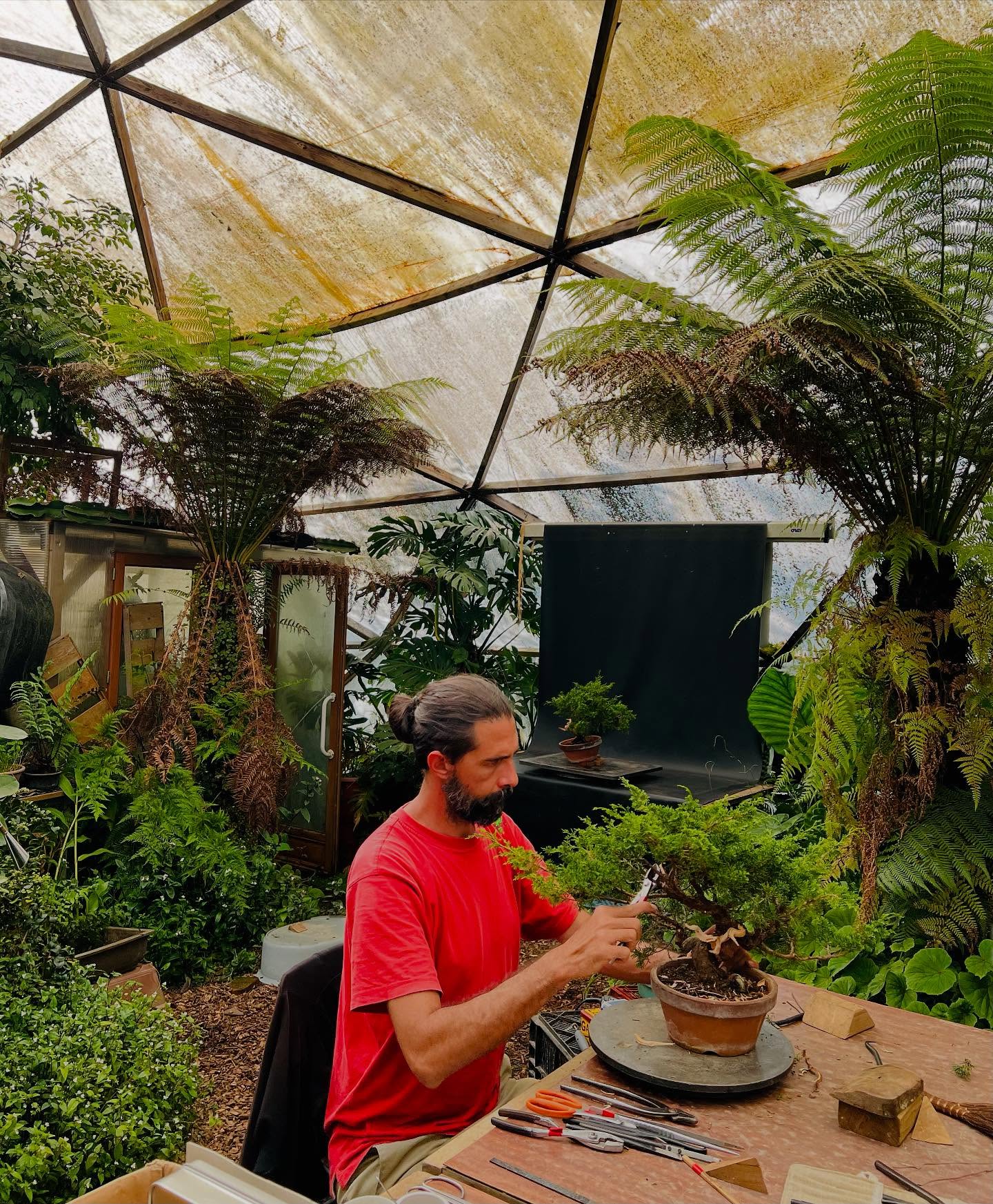 Gaia Garden Bonsai Atelier