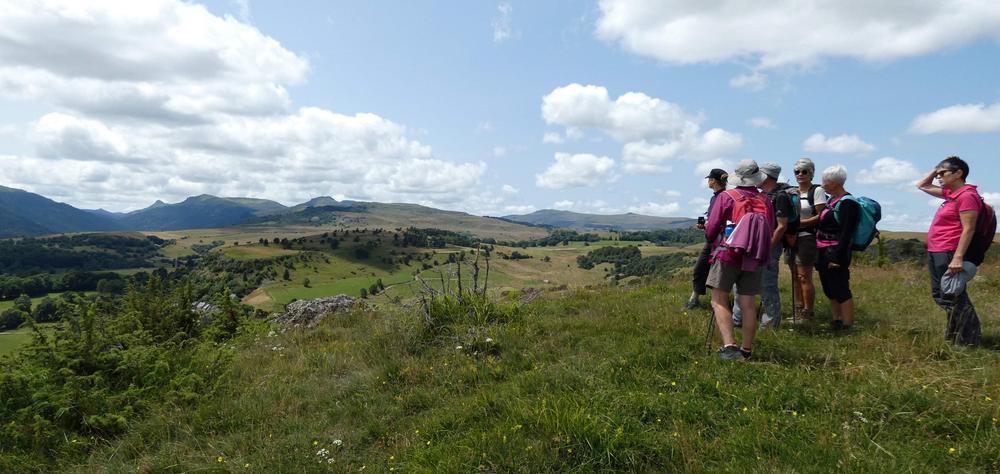 Sortie Nauture - Découverte de la flore des zones humides et des tourbières