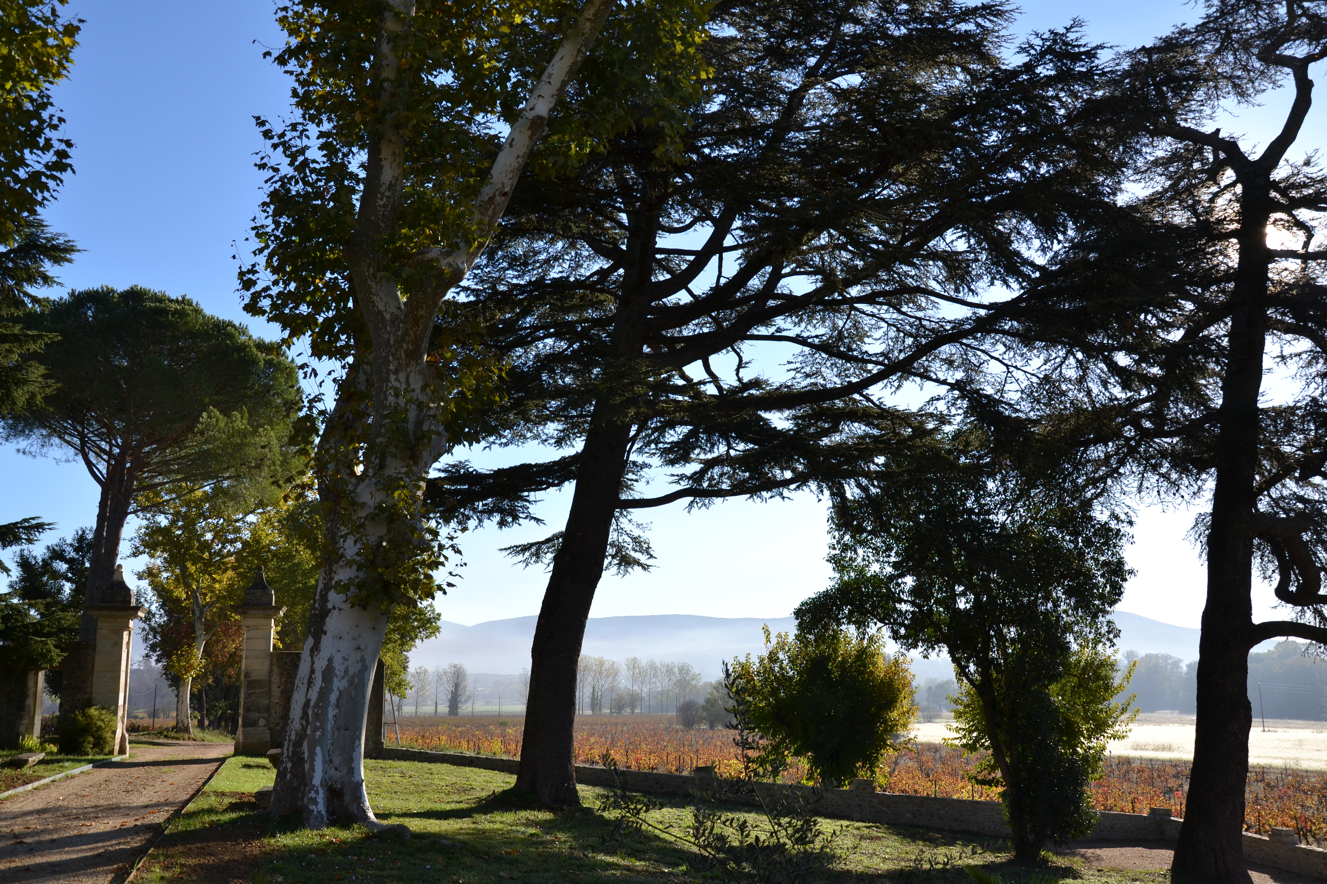 e82199bfb6de80aaf8cb