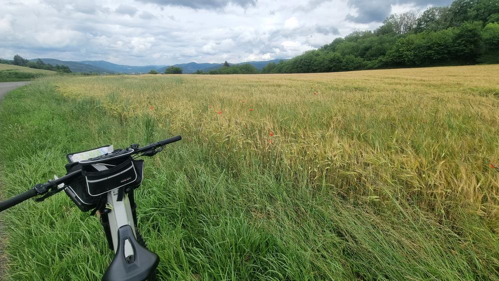Liaison VTT (L2) Ceyzériat - Ile Chambod Gorges de l'Ain_Ceyzériat