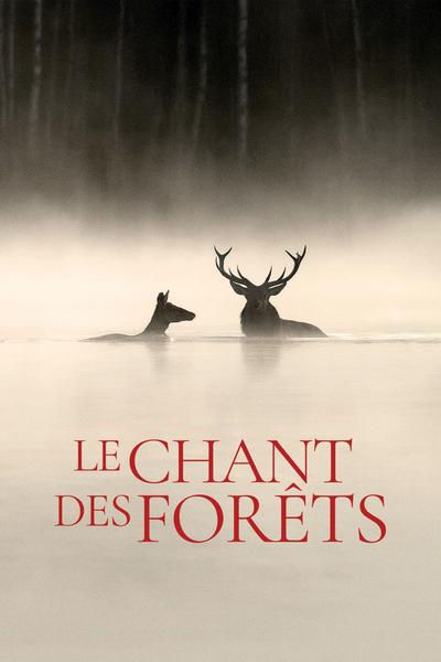 Coup de coeur du public : Le chant des forêts