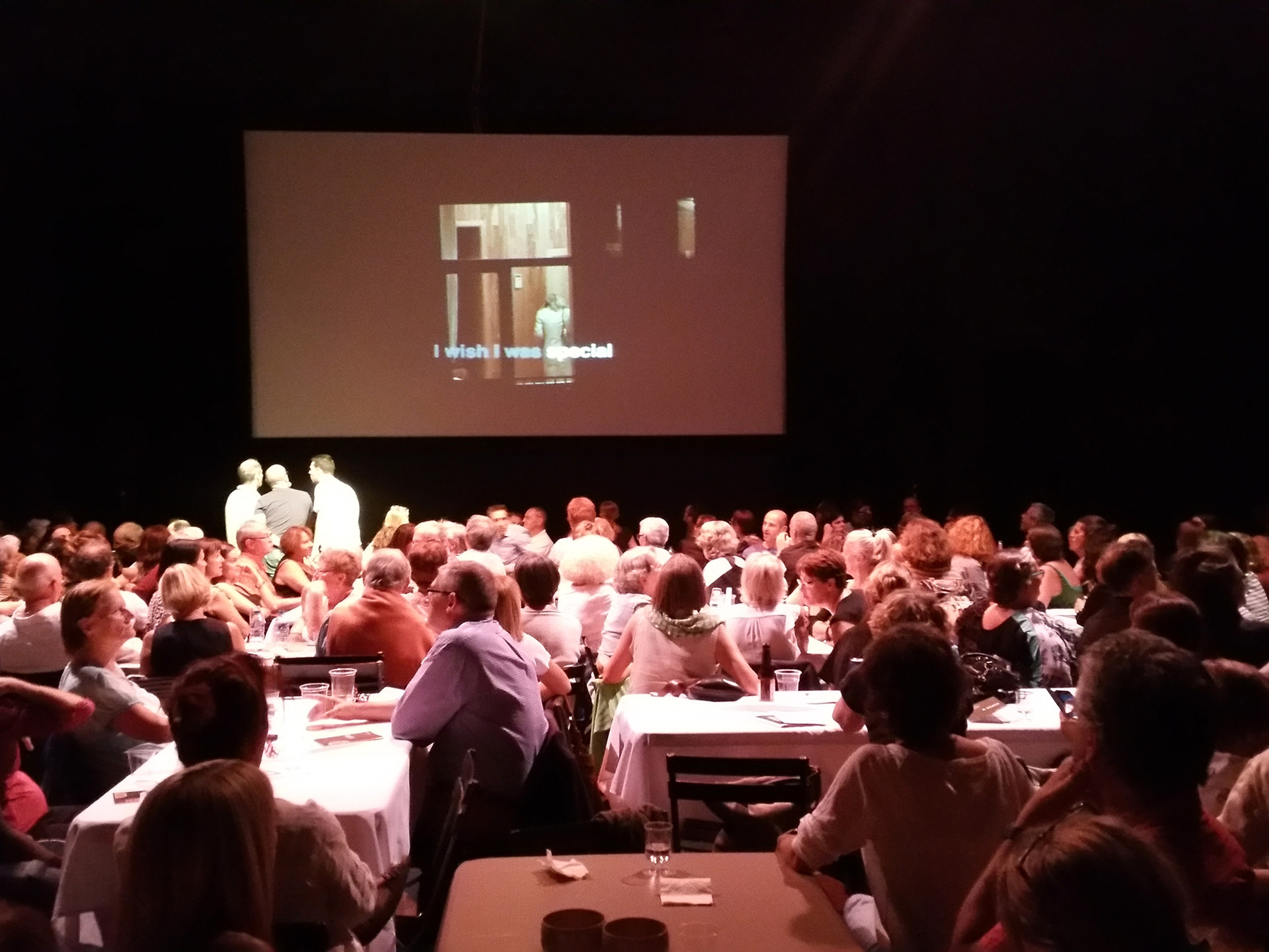 Théâtre du Bois de l'Aune