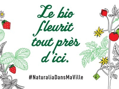 Naturalia — photo 3