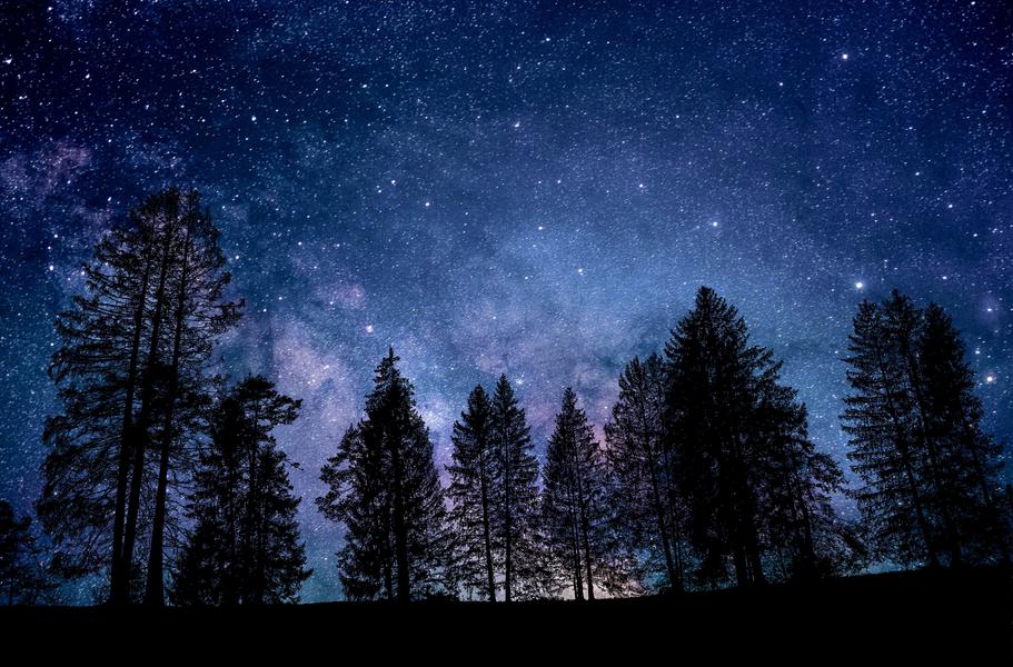 Rendez-vous de l'été : Une nuit dans la nature_La Bâtie-Neuve - © pixabay