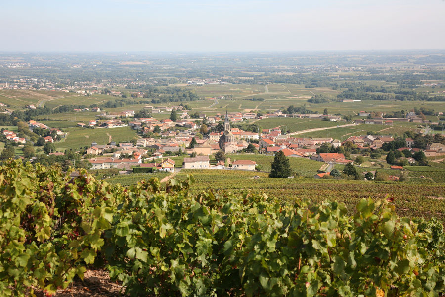 Fleurie