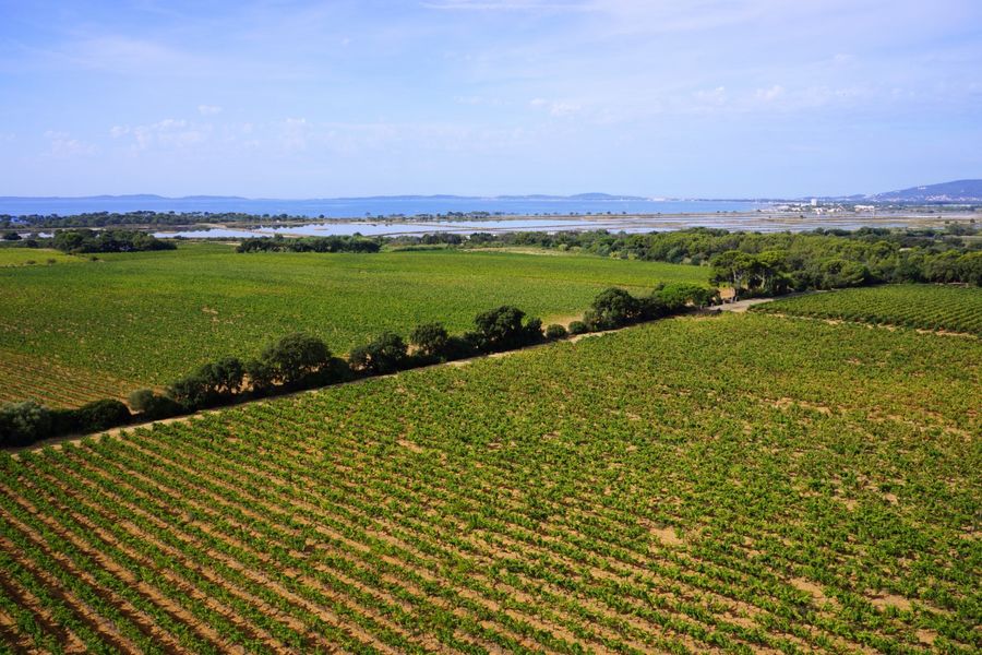 Cave des Vignerons Londais